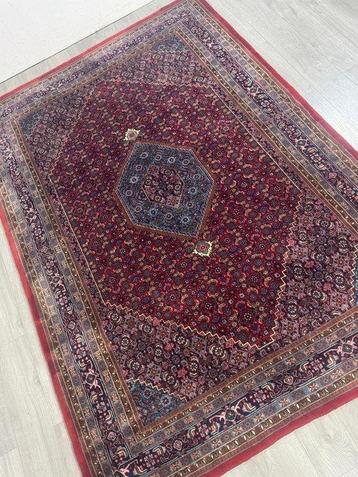 Bidjar - Tapis - 297 cm - 198 cm beschikbaar voor biedingen