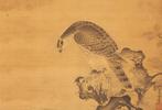 Very fine hawk painting, signed - including inscribed