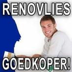 RENOVLIES BEHANGERS PRIJZEN DEZE MAAND VEEL GOEDKOPER !, Diensten en Vakmensen, Schilders en Behangers