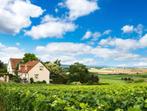 Ons prachtige huis in Toscana zetten we te huur,, Vakantie