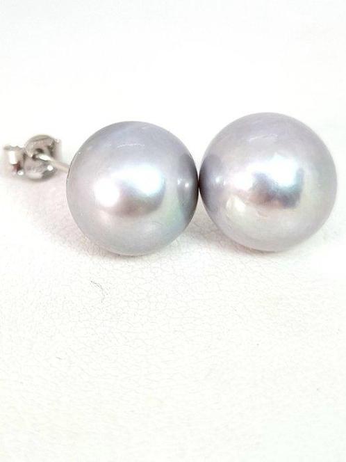 Sans Prix de Réserve - Boucles doreilles - 18 carats Or, Handtassen en Accessoires, Oorbellen