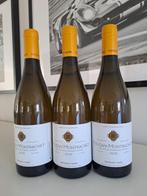 2020 Deveney Mars - Puligny Montrachet - 3 Fles (0,75 liter), Nieuw