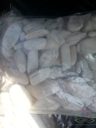 Tumbled wood drijfhout Frosted White 3–7 cm per kilo, Huis en Inrichting, Woonaccessoires | Kunstplanten en Kunstbloemen, Nieuw