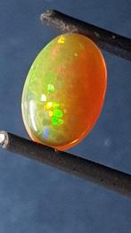 Opaal Cabochon- 0.5 g - (1), Verzamelen