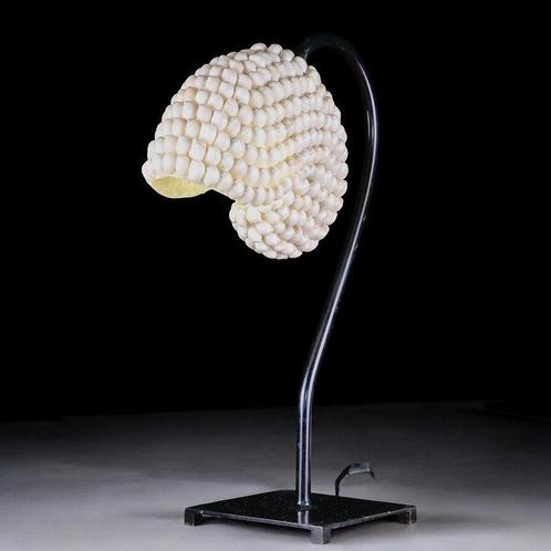 Lampe de table Nautilus recouverte de coquillages naturels, Verzamelen, Dierenverzamelingen