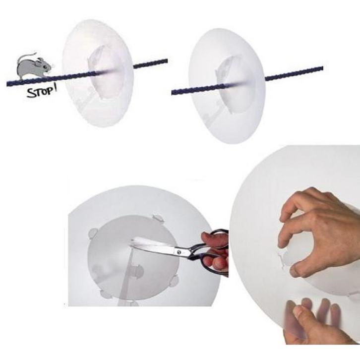 Rattenschild voor Landvast, Sports nautiques & Bateaux, Accessoires navigation, Enlèvement ou Envoi