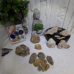 Meer dan 30 natuurlijke mineraalspecimens – pyriet,, Verzamelen