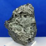 -SANS PRIX DE RESERVE- METEORITE DE FER XL Campo del Cielo