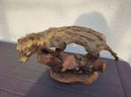 chats dajonc Support de corps entier pour taxidermie -, Nieuw