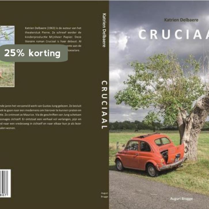 Cruciaal 9789082602807 Katrien Delbaere, Boeken, Romans, Zo goed als nieuw, Verzenden