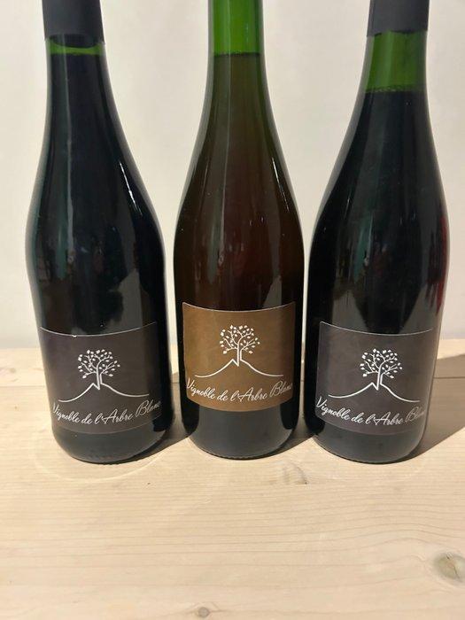 Vignoble de L’Arbre Blanc Les Fesses & x 2 Les Orgues -, Collections, Vins
