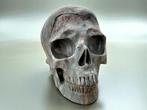 Netwerk Jasper “Hoge Kwaliteit” Gesneden schedel - jasper -