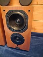 Chario - Syntar 100 WalnutMatching pair. Luidsprekerset, Nieuw