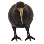 H28 Kiwi Vogel M, Nieuw