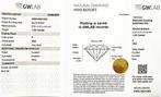 1 pcs Diamant (Natuurlijk) - 1.04 ct - Rond - F - VS2 -, Handtassen en Accessoires, Edelstenen, Nieuw