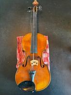 No brand - - Violon - 1900 (Sans prix de réserve), Nieuw