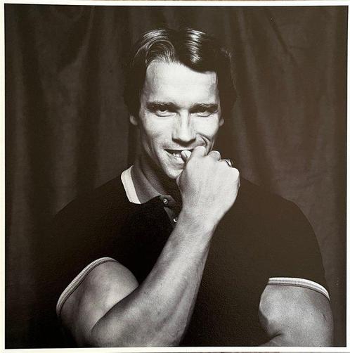 Govert de Roos - Arnold Schwarzenegger, Antiek en Kunst, Kunst | Schilderijen | Modern