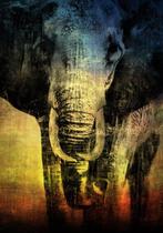 Wysocky John - Sunset Elephant, Antiek en Kunst, Kunst | Schilderijen | Modern