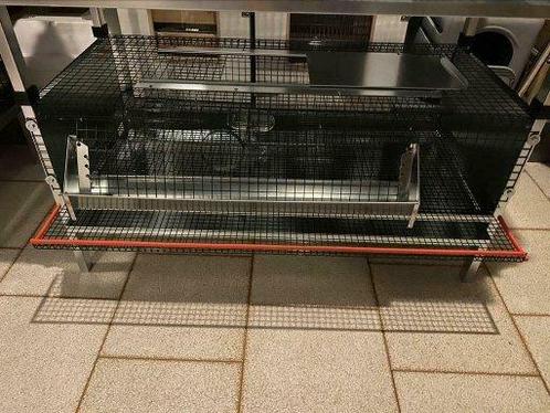 Legkooi voor kwartels, Dieren en Toebehoren, Pluimvee | Toebehoren