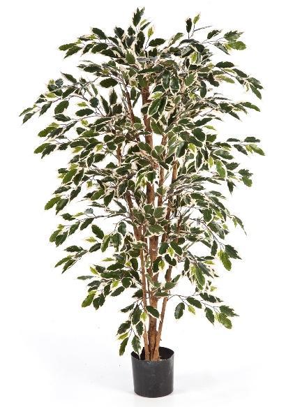 Kunstplant Ficus Nitida Mixed 120 cm, Huis en Inrichting, Kamerplanten, Verzenden