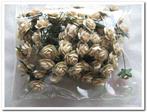 Mulberry Roosjes Creme 10-15 mm pak, Nieuw