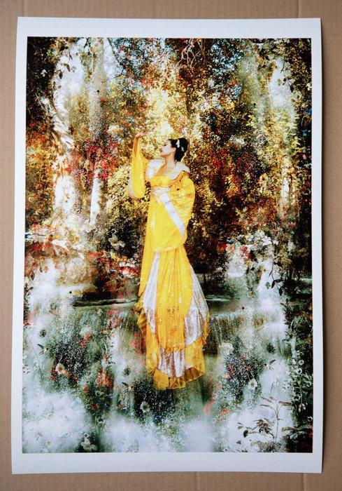 Viet Ha Tran - Xian: Myths of the Beauties, Diao Chan IV, Antiek en Kunst, Kunst | Schilderijen | Modern