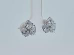 Zonder minimumprijs - Oorbellen - 14 karaat Witgoud -, Nieuw