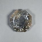 Orthoceras-inktvis - Fossiel fragment - Orthoceras from