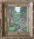 Tholen (XX) - Boszicht met wandelpad