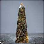 Zeer zeldzame gefossiliseerde algen Obelisk- 704.47 g, Nieuw
