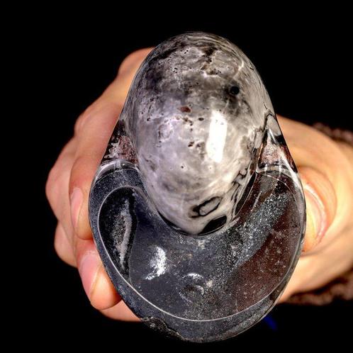 Madagaskar Fossiele Nautilus met Hematiet – Een Geologische, Verzamelen, Mineralen en Fossielen