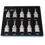 SATRA 3/8 Torx doppen set T10 t/m T55 (10-delig), Doe-het-zelf en Bouw, Gereedschap | Handgereedschap, Ophalen of Verzenden, Nieuw