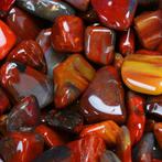 Laatste partij! - ‘Arizona Red’ versteende hout - Gepolijste