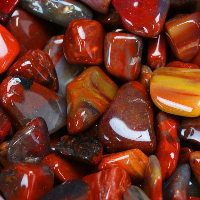 Laatste partij! - ‘Arizona Red’ versteende hout - Gepolijste, Antiek en Kunst, Curiosa en Brocante