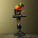 Lori van de Blauwe Bergen Taxidermie Opgezette Dieren By Max, Ophalen of Verzenden, Opgezet dier
