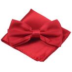 Fako Fashion® - Vlinderstrik Met Pochette - Vlinderdas -, Kleding | Heren, Verzenden, Nieuw