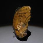 Paleolithisch Vuursteen Bijl of stenen werktuig uit, Antiek en Kunst