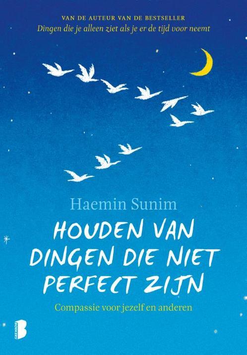 Houden van dingen die niet perfect zijn 9789022583722, Boeken, Psychologie, Gelezen, Verzenden