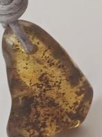 Verzameling natuurlijk Baltisch amber - Barnsteen - 3.7 cm -