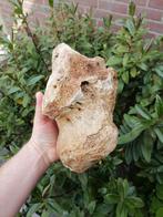 Wolharige mammoet - Fossiel bot - Mammuthus primigenius, Verzamelen, Mineralen en Fossielen