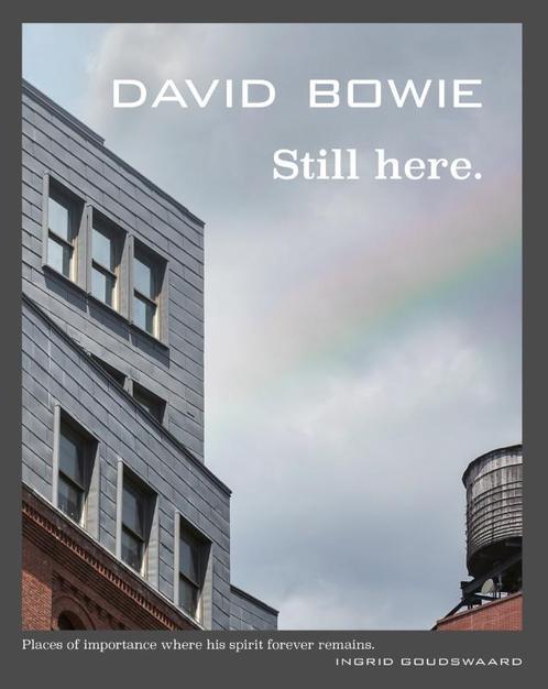 David Bowie Still here 9789090368924 Ingrid Goudswaard, Boeken, Overige Boeken, Gelezen, Verzenden