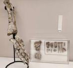 Fossiele schedel - Psittacosaurus - 25 cm, Verzamelen, Mineralen en Fossielen