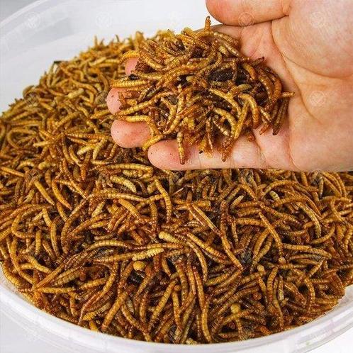Gedroogde meelwormen 6,2 L, Dieren en Toebehoren, Vogels | Toebehoren