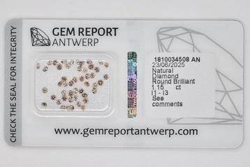 Zonder Minimumprijs - 48 pcs Diamant (Natuurlijk) - 1.15 ct beschikbaar voor biedingen