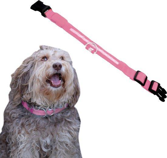 2dekans | Dutchwide Lichtgevende Halsband Hond - Extra Sterk, Dieren en Toebehoren, Honden-accessoires, Ophalen of Verzenden