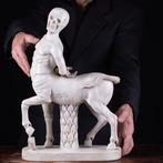 Beeld, Centauro Skeleton - 504 mm - Wit Carrara-marmer -, Verzamelen, Nieuw