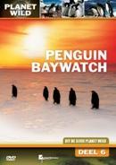 Penguin baywatch op DVD, Verzenden