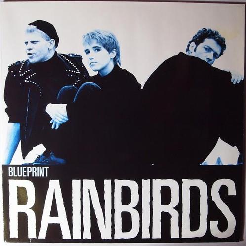 Rainbirds - Blueprint - 12, Cd's en Dvd's, Vinyl Singles, Maxi-single, Gebruikt, 12 inch, Pop