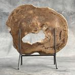 Magnifique tranche de bois pétrifié sur un socle