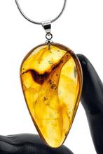 Ambre - Multi Inclusion Baltic Amber – 3 MOSQUITOS Fossil –, Antiquités & Art